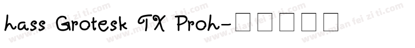 hass Grotesk TX Proh字体转换